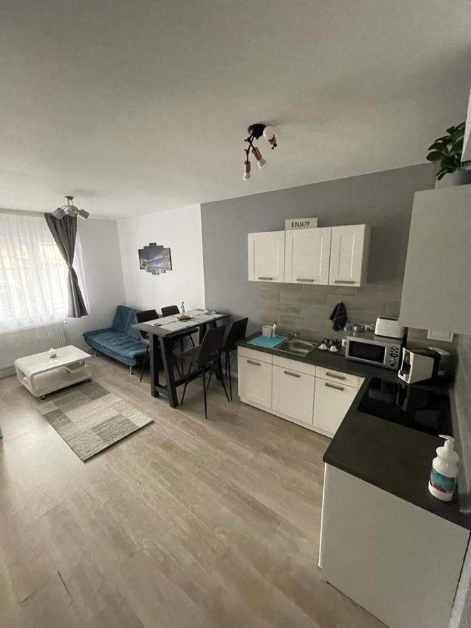 Phoenix Luxury Apartment Oradea Eksteriør bilde